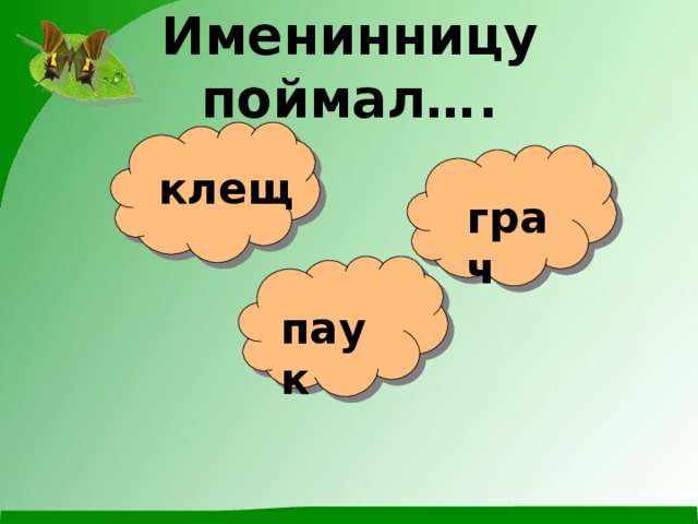 Именинницу поймал…. клещ грач паук 