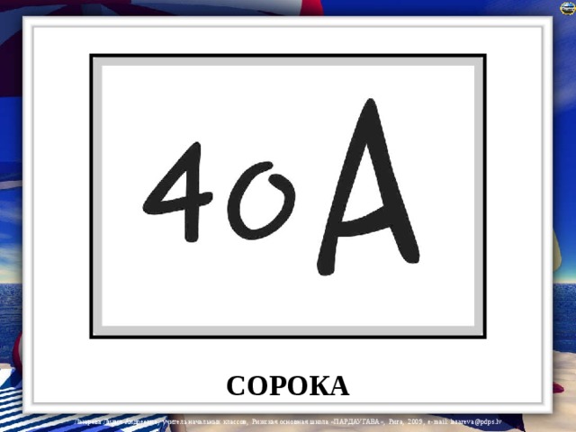 СОРОКА 