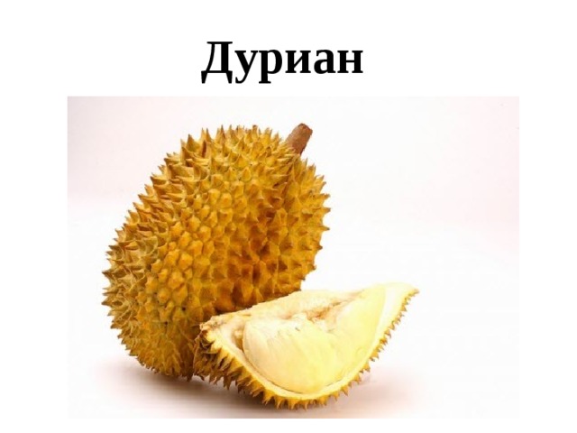 Дуриан 