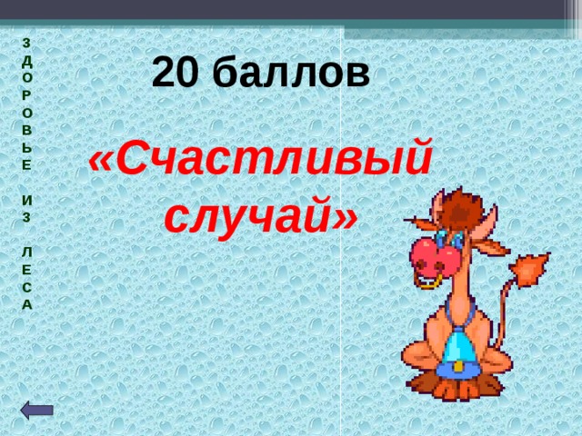 З  Д  О  Р  О  В  Ь  Е   И  З   Л  Е  С  А  20 баллов «Счастливый случай» 