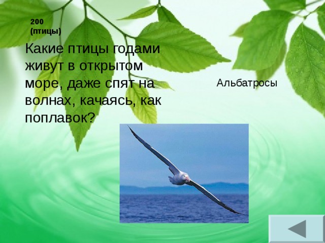 200 (птицы) Какие птицы годами живут в открытом море, даже спят на волнах, качаясь, как поплавок? Альбатросы 