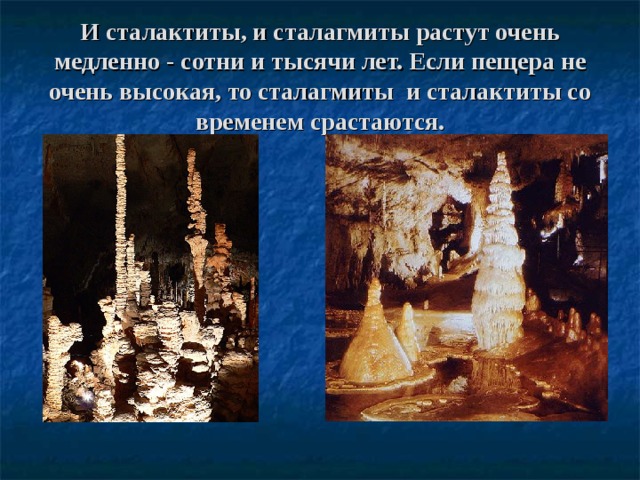 И сталактиты, и сталагмиты растут очень медленно - сотни и тысячи лет. Если пещера не очень высокая, то сталагмиты  и сталактиты со временем срастаются. 