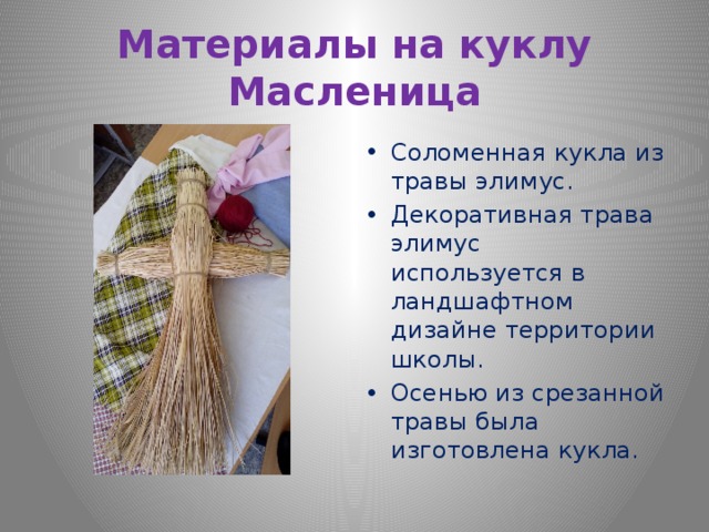 Материалы на куклу Масленица Соломенная кукла из травы элимус. Декоративная трава элимус используется в ландшафтном дизайне территории школы. Осенью из срезанной травы была изготовлена кукла. 