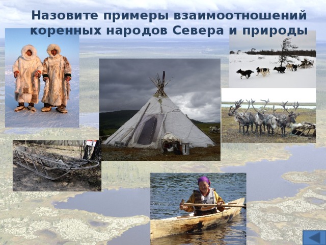 Назовите примеры взаимоотношений коренных народов Севера и природы