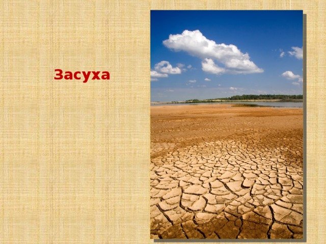 Засуха 