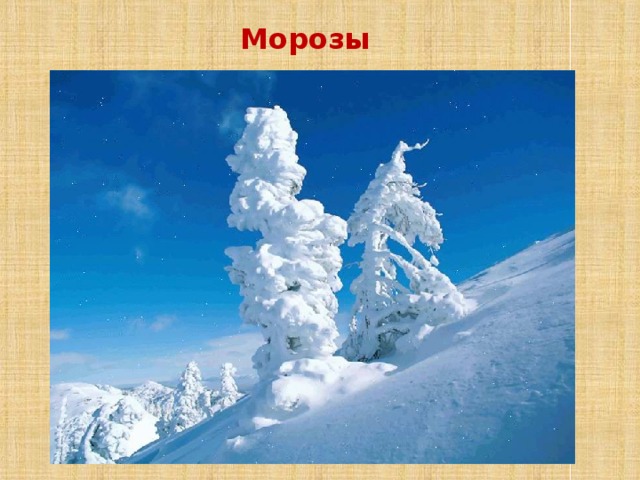 Морозы 