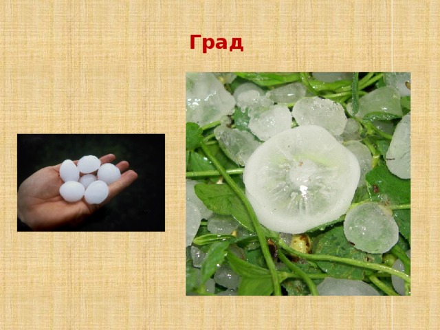 Град 