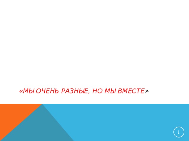           «МЫ ОЧЕНЬ РАЗНЫЕ, НО МЫ ВМЕСТЕ »      