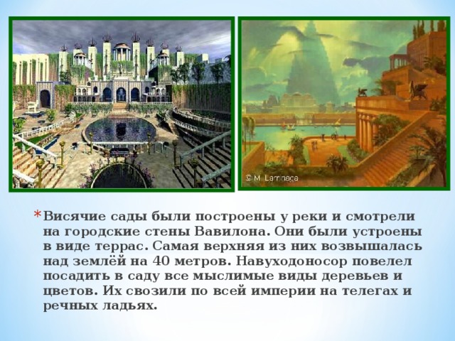 Висячие сады были построены у реки и смотрели на городские стены Вавилона. Они были устроены в виде террас. Самая верхняя из них возвышалась над землёй на 40 метров. Навуходоносор повелел посадить в саду все мыслимые виды деревьев и цветов. Их свозили по всей империи на телегах и речных ладьях. 