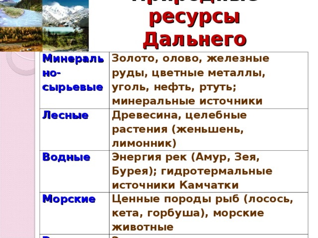 Природные ресурсы Дальнего Востока Минерально-сырьевые Золото, олово, железные руды, цветные металлы, уголь, нефть, ртуть; минеральные источники Лесные Древесина, целебные растения (женьшень, лимонник) Водные Энергия рек (Амур, Зея, Бурея); гидротермальные источники Камчатки Морские Ценные породы рыб ( лосось, кета, горбуша), морские животные Рекреаци - онные Экзотические долины Камчатки; уссурийский край; пляжи в районе Находки 