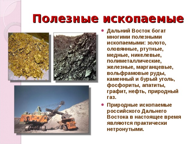 Полезные ископаемые Дальний Восток богат многими полезными ископаемыми: золото, оловянные, ртутные, медные, никелевые, полиметаллические, железные, марганцевые, вольфрамовые руды, каменный и бурый уголь, фосфориты, апатиты, графит, нефть, природный газ. Природные ископаемые российского Дальнего Востока в настоящее время являются практически нетронутыми. 
