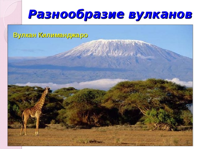 Разнообразие вулканов Вулкан Килиманджаро 