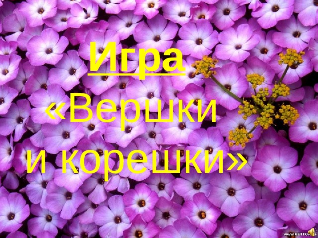 Игра «Вершки и корешки» 