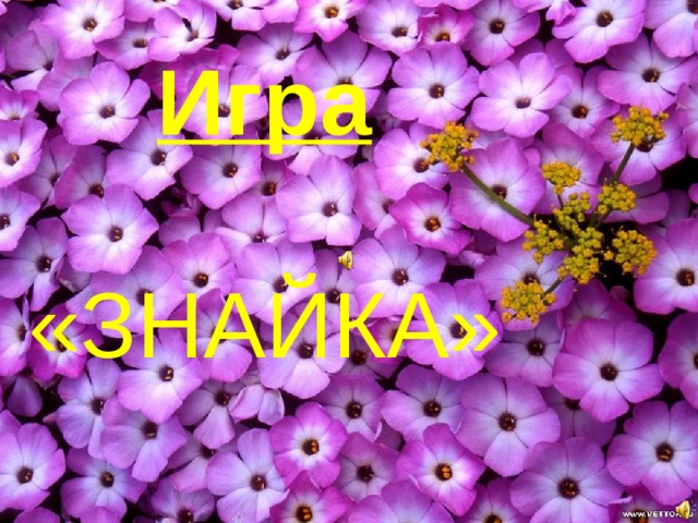 Игра «ЗНАЙКА» 