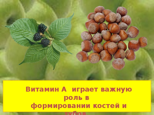  Витамин А играет важную роль в  формировании костей и зубов.  