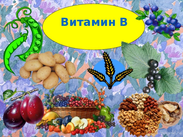 Витамин В 