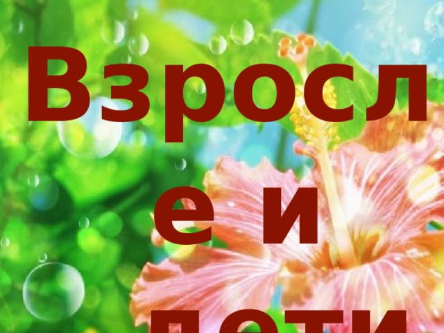 Взрослые и дети 