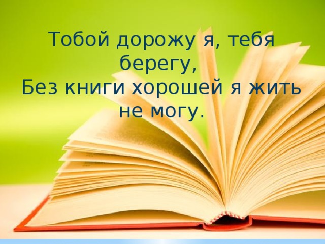 Тобой дорожу я, тебя берегу, Без книги хорошей я жить не могу. 