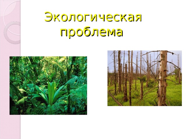 Экологическая проблема  