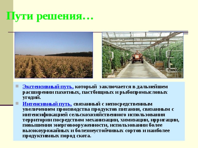 Пути решения… Экстенсивный путь, который заключается в дальнейшем расширении пахотных, пастбищных и рыбопромысловых угодий. Интенсивный путь, связанный с непосредственным увеличением производства продуктов питания, связанным с интенсификацией сельскохозяйственного использования территории посредством механизации, химизации, ирригации, повышения энерговооруженности, использовании более высокоурожайных и болезнеустойчивых сортов и наиболее продуктивных пород скота. 