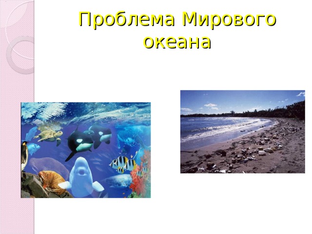 Проблема Мирового океана 
