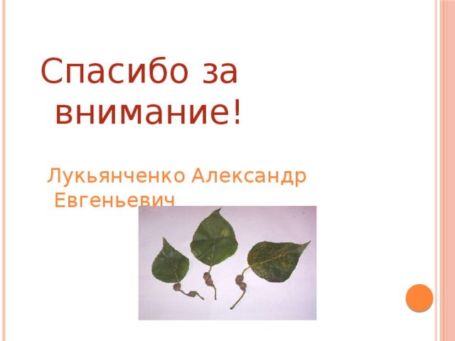 Спасибо за внимание!  Лукьянченко Александр Евгеньевич  10 Б 