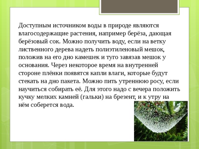 Доступным источником воды в природе являются влагосодержащие растения, например берёза, дающая берёзовый сок. Можно получить воду, если на ветку лиственного дерева надеть полиэтиленовый мешок, положив на его дно камешек и туго завязав мешок у основания. Через некоторое время на внутренней стороне плёнки появятся капли влаги, которые будут стекать на дно пакета. Можно пить утреннюю росу, если научиться собирать её. Для этого надо с вечера положить кучку мелких камней (гальки) на брезент, и к утру на нём соберется вода. 