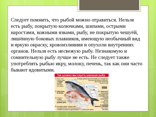 Следует помнить, что рыбой можно отравиться. Нельзя есть рыбу, покрытую колючками, шипами, острыми наростами, кожными язвами, рыбу, не покрытую чешуёй, лишённую боковых плавников, имеющую необычный вид и яркую окраску, кровоизлияния и опухоли внутренних органов. Нельзя есть несвежую рыбу. Незнакомую и сомнительную рыбу лучше не есть. Не следует также употреблять рыбью икру, молоку, печень, так как они часто бывают ядовитыми. 