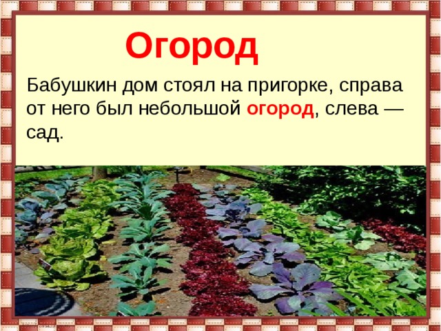  Огород Бабушкин дом стоял на пригорке, справа от него был небольшой  огород , слева — сад. 