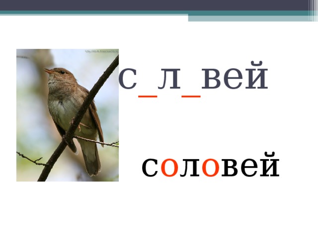 с _ л _ вей с о л о вей 