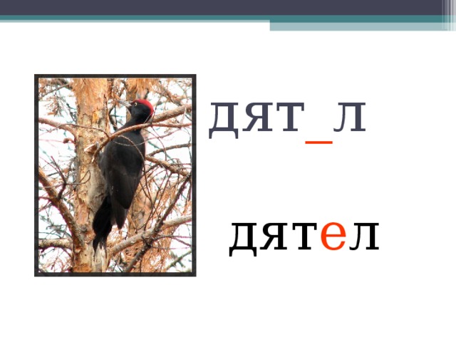 дят _ л дят е л 