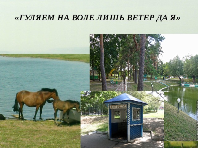 «ГУЛЯЕМ НА ВОЛЕ ЛИШЬ ВЕТЕР ДА Я» Шиханы… Произносишь это слово и ощущаешь дуновение ветра, слышишь шелест листвы, осязаешь прохладу журчащего родника под кронами вековых сосен…  