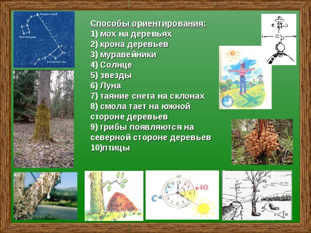 Способы ориентирования:  1) мох на деревьях  2) крона деревьев  3) муравейники  4)  Солнце  5) звезды  6) Луна  7) таяние снега на склонах  8) смола тает на южной стороне деревьев  9) грибы появляются на северной стороне деревьев  10)птицы 