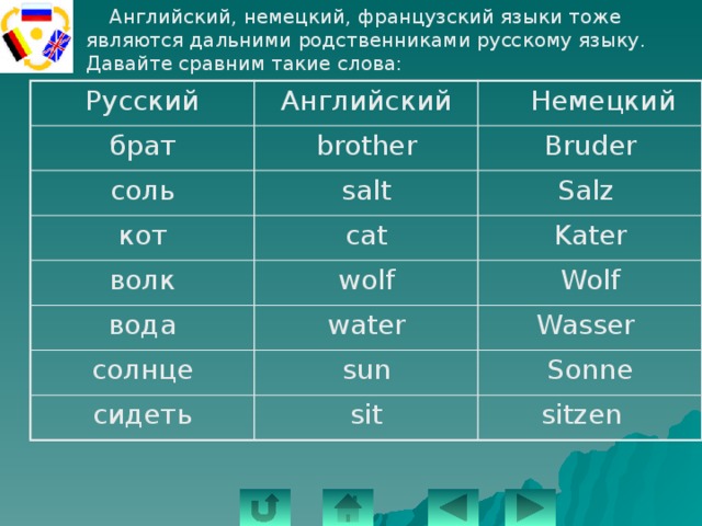  Английский, немецкий, французский языки тоже являются дальними родственниками русскому языку. Давайте сравним такие слова: Русский Английский брат  Немецкий brother соль Bruder salt кот cat волк Salz Kater wolf вода солнце Wolf water Wasser sun сидеть Sonne sit sitzen 