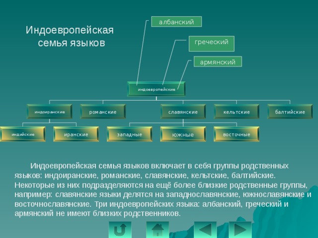 албанский Индоевропейская семья языков греческий армянский индоевропейские балтийские кельтские славянские романские индоиранские восточные южные индийские иранские западные  Индоевропейская семья языков включает в себя группы родственных языков: индоиранские, романские, славянские, кельтские, балтийские. Некоторые из них подразделяются на ещё более близкие родственные группы, например: славянские языки делятся на западнославянские, южнославянские и восточнославянские. Три индоевропейских языка: албанский, греческий и армянский не имеют близких родственников. 
