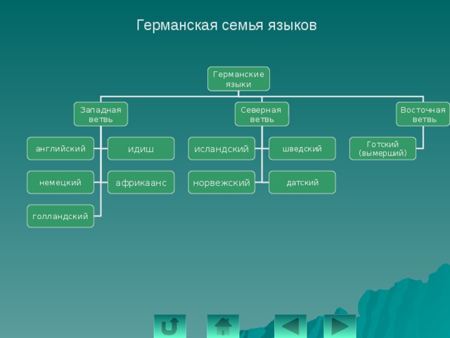 Германская семья языков Германские языки Восточная Северная Западная ветвь ветвь  ветвь исландский Готский шведский идиш английский (вымерший) африкаанс немецкий норвежский датский голландский 