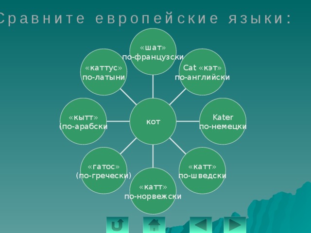 Сравните европейские языки: «шат» по-французски Cat «кэт» по-английски «каттус» по-латыни «кытт» Kater (по-арабски по-немецки кот «гатос» (по-гречески) «катт» по-шведски «катт» по-норвежски 