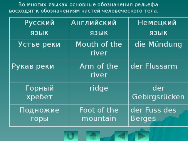   Во многих языках основные обозначения рельефа восходят к обозначениям частей человеческого тела. Русский язык Английский Устье реки Рукав реки язык Немецкий Mouth of the river Горный хребет Arm of the river die Mündung язык der Flussarm ridge Подножие горы der Gebirgsrücken Foot of the mountain der Fuss des Berges 