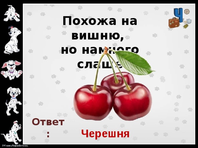 Похожа на вишню,  но намного слаще   Ответ: Черешня