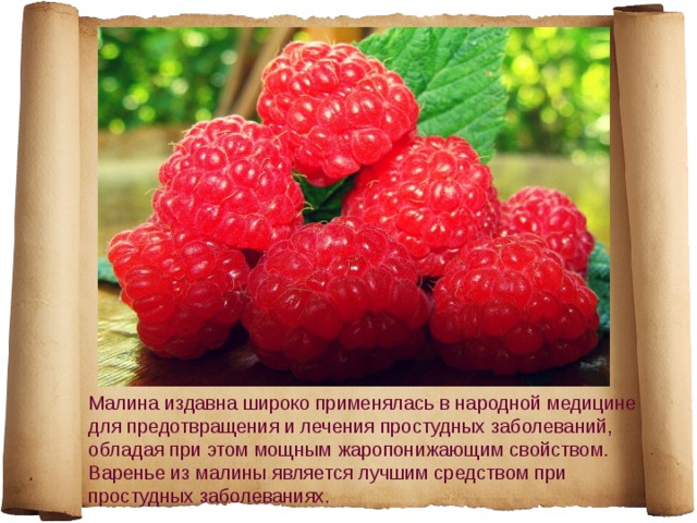 Малина издавна широко применялась в народной медицине для предотвращения и лечения простудных заболеваний, обладая при этом мощным жаропонижающим свойством. Варенье из малины является лучшим средством при простудных заболеваниях. 