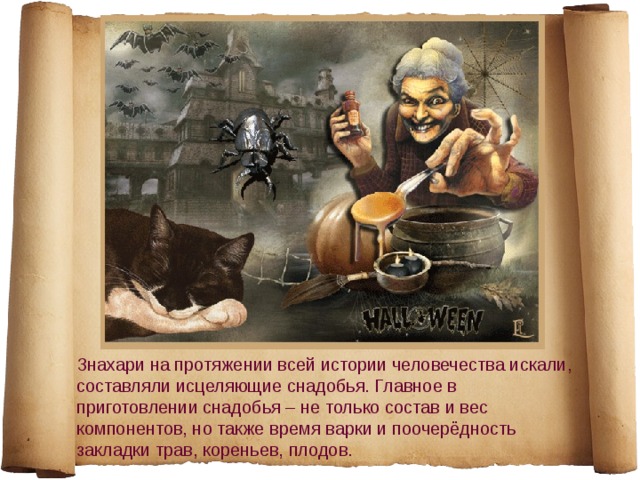 Знахари на протяжении всей истории человечества искали, составляли исцеляющие снадобья. Главное в приготовлении снадобья – не только состав и вес компонентов, но также время варки и поочерёдность закладки трав, кореньев, плодов. 