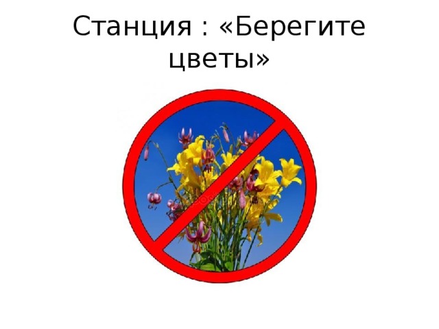 Станция : «Берегите цветы» 