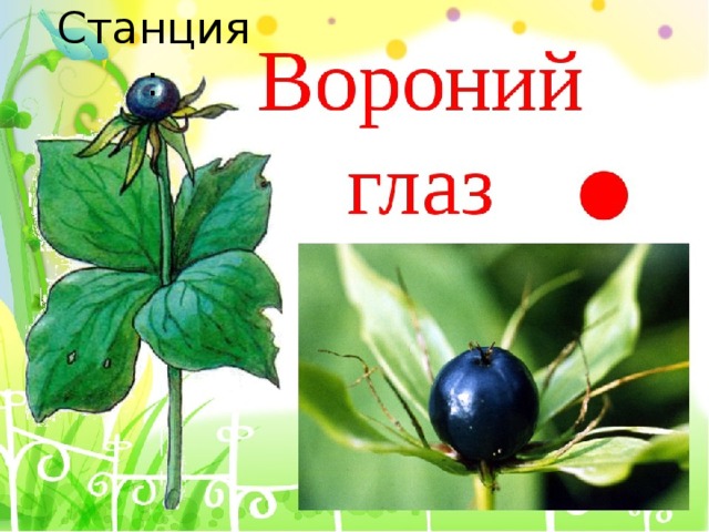 Станция : 