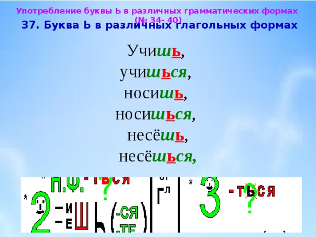 Употребление буквы Ь в различных грамматических формах (№ 34- 40)  37. Буква Ь в различных глагольных формах  Учи ш ь , учи ш ь ся , носи ш ь , носи ш ь ся , несё ш ь , несё ш ь ся, 