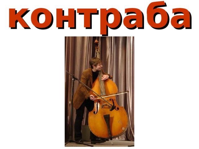 контрабас 