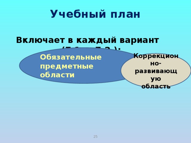 Учебный план Включает в каждый вариант (7.1. и 7.2.): Обязательные предметные области Коррекционно-развивающую область 21 
