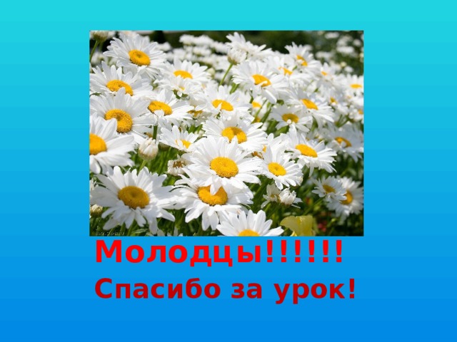 Молодцы!!!!!! Спасибо за урок! 