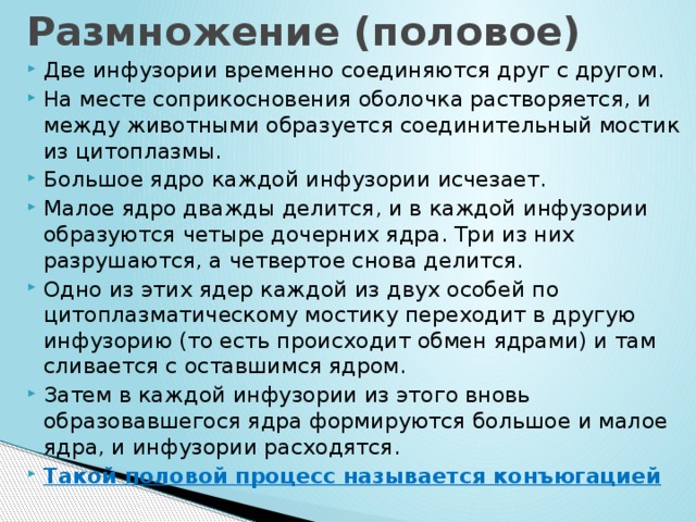 Размножение (половое) Две инфузории временно соединяются друг с другом. На месте соприкосновения оболочка растворяется, и между животными образуется соединительный мостик из цитоплазмы. Большое ядро каждой инфузории исчезает. Малое ядро дважды делится, и в каждой инфузории образуются четыре дочерних ядра. Три из них разрушаются, а четвертое снова делится. Одно из этих ядер каждой из двух особей по цитоплазматическому мостику переходит в другую инфузорию (то есть происходит обмен ядрами) и там сливается с оставшимся ядром. Затем в каждой инфузории из этого вновь образовавшегося ядра формируются большое и малое ядра, и инфузории расходятся. Такой половой процесс называется конъюгацией 