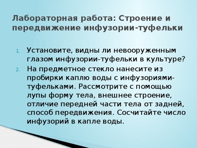 Лабораторная работа: Строение и передвижение инфузории-туфельки Установите, видны ли невооруженным глазом инфузории-туфельки в культуре? На предметное стекло нанесите из пробирки каплю воды с инфузориями-туфельками. Рассмотрите с помощью лупы форму тела, внешнее строение, отличие передней части тела от задней, способ передвижения. Сосчитайте число инфузорий в капле воды. 