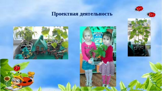 Проектная деятельность 